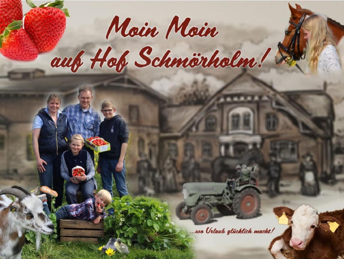 Hof Schmoerholm Dein Familienurlaub Auf Dem Bauernhof Apartment Leck Exterior photo